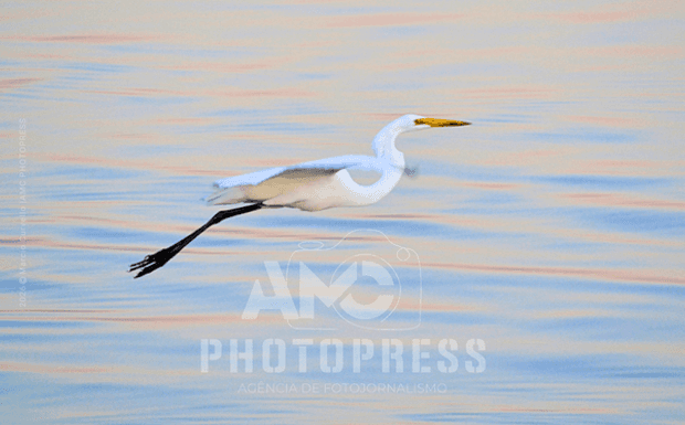 O MOMENTO DECISIVO: CONCEITO E APLICAÇÃO PRÁTICA NO FOTOJORNALISMO