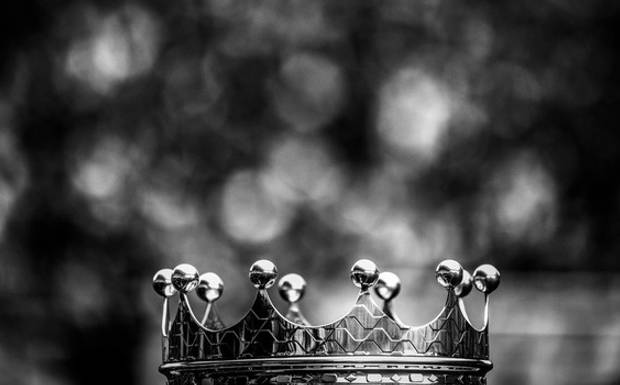 Do registro ao legado: A anatomia de um rebranding de autor