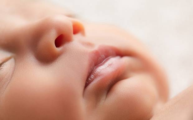 Ensaio Newborn Seguro: O que ninguém te conta sobre a fotografia de recém-nascidos