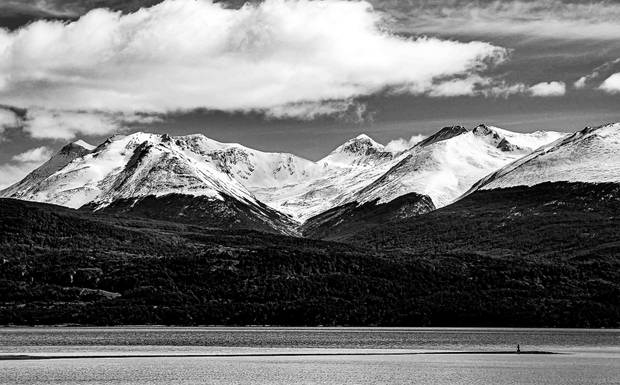 Projeto Livro Foto/Texto - Fotografia & Ciência
