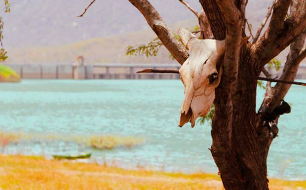20 anos de luta na barragem de Acauã
