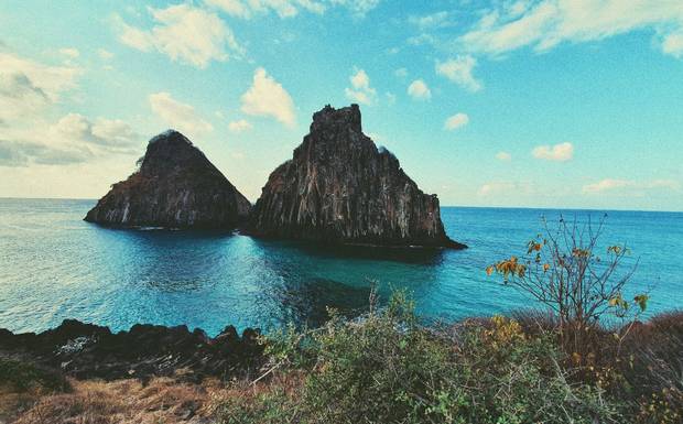 Fotografia, um caminho para memórias e saúde mental.