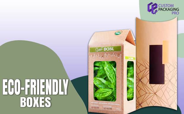 Eco-Friendly Packaging for All the Positive Response