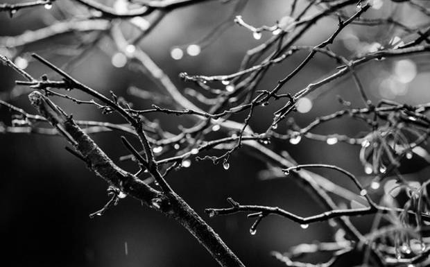 🎞️ Fotografia Preto & Branco x Colorida