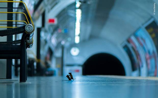 📱 Significados na fotografia - Dicas para fotografar melhor com celular: #4