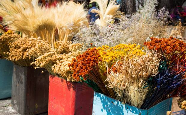 🛑 5 Motivos Pelos Quais Sua Fotografia Não Está no Ponto Certo (e Como Mudar Isso)