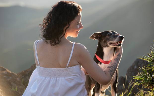 Fotografia de cachorro idoso: pelinhos brancos, passos lentos e um amor que merece ser eternizado

