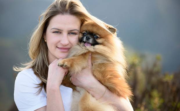 Quando é o melhor momento para fazer um ensaio pet?