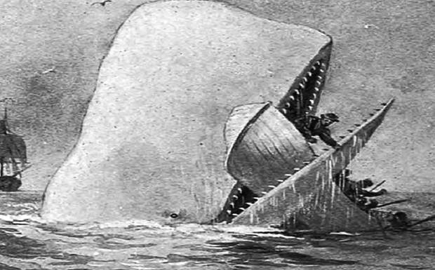 The Legend of Moby Dick the White Beast