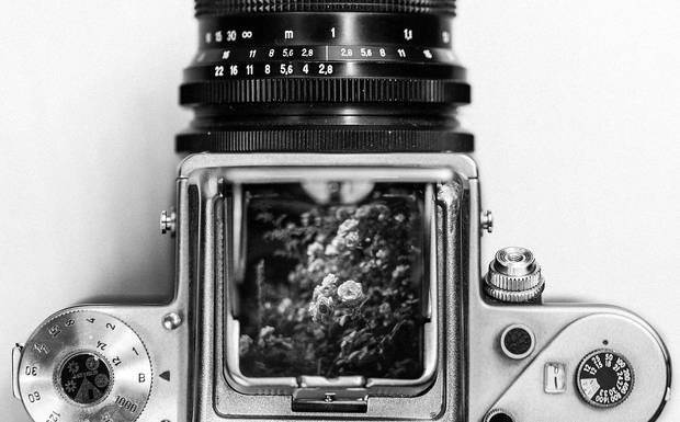 Descubre la Magia de la Fotografía de Formato Medio: Un Viaje Visual que Transformará Tu Arte