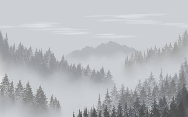 Fotografía de Naturaleza: Capturando la Belleza del Mundo Salvaje