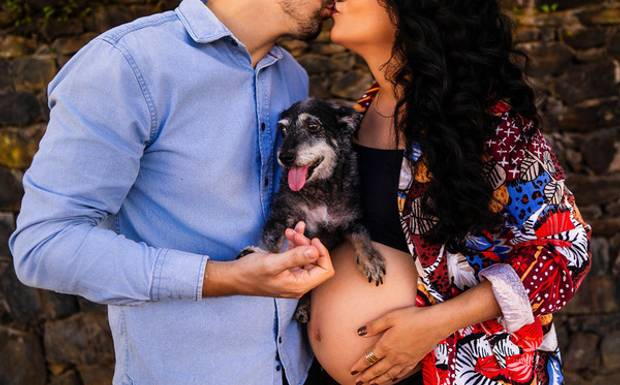 Ensaio gestante com pets: como incluir seu cachorro nas fotos da gravidez
