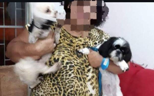  Idosa Morre Após Ser Atropelada Por Micro-Ônibus Escolar Em Humaitá 