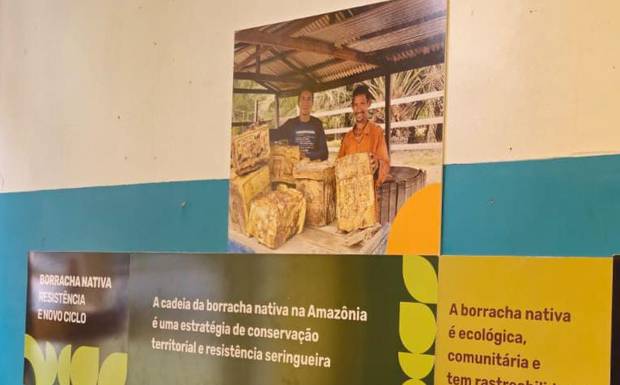 Fotografia da ASPAC de Canutama aparece em painel da Conexsus durante a COP30