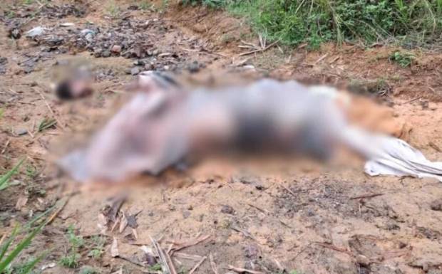 Assassino decapita vítima e deixa partes do corpo em ramal no Tarumã Manaus; imagens fortes