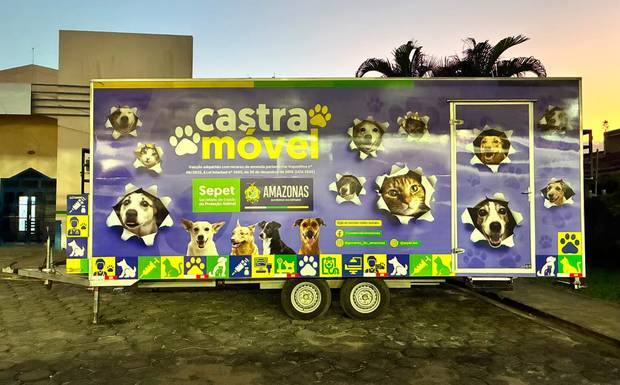 Castra móvel encerra atividades em Canutama após beneficiar 244 animais