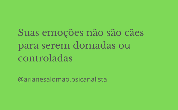 Suas emoções não são cães para serem domadas ou controladas