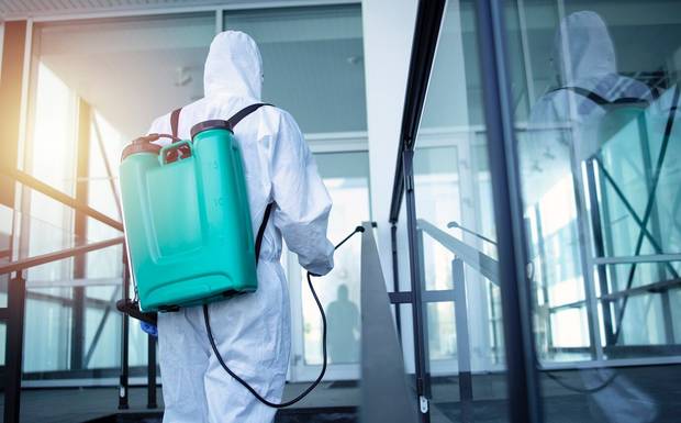 Top-Rated Bed Bug Control Services in Gold Coast: Safe and Reliable Options