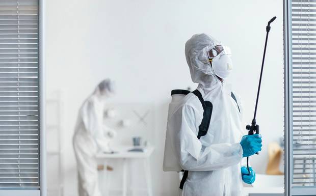 DIY vs Professional Flea Treatment in Gold Coast: Which Is Right for You?