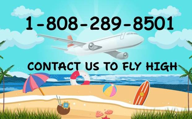 Seven Ways To Connect: How Do I Talk To Human At Priceline: A Best Guide