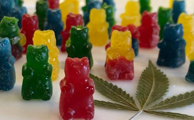Golden Fountain Farms CBD Gummies Reviews: Are They Worth the Hype?