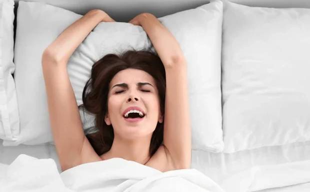 SX66 ME Netherlands Prijs, beoordeling en resultaten