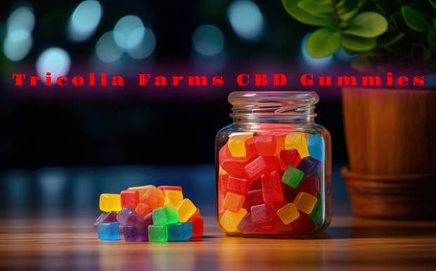 Tricolla Farms CBD Gummies: We Tested It For 90 Days