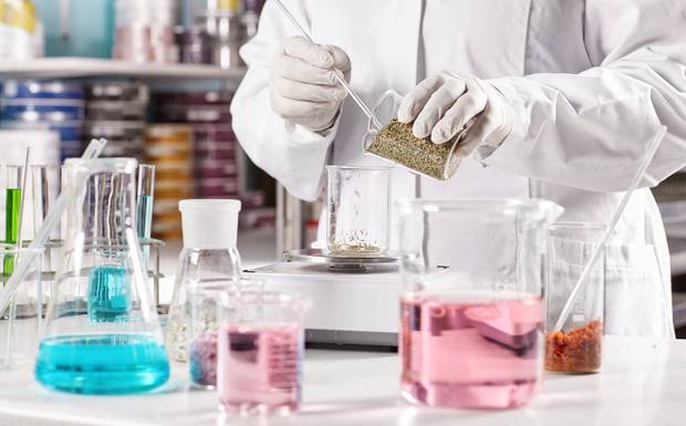 India Specialty Chemicals Market Size, Growth Drivers, Industry Analysis & Forecast Report 2033
