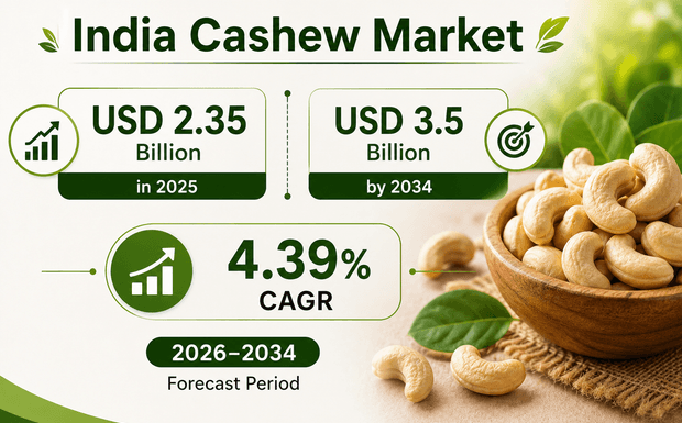 India Cashew Market Overview: Size, Growth Insights & Future Outlook 2026-2034