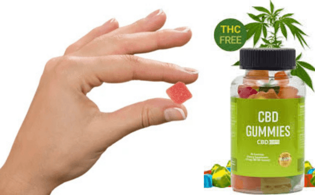 Life Support Labs CBD Gummies 500mg Pure Hemp Gummies