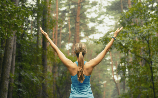 Everyday Health Wisdom: Living in a Way Your Body Understands