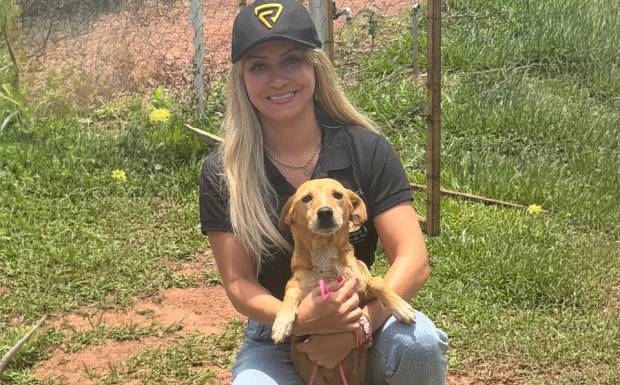 Abandono de Cães e Gatos: Um Problema Social que Exige Consciência e Ação