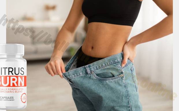 מהפרדס לבקבוק: הטוהר של CitrusBurn Israel