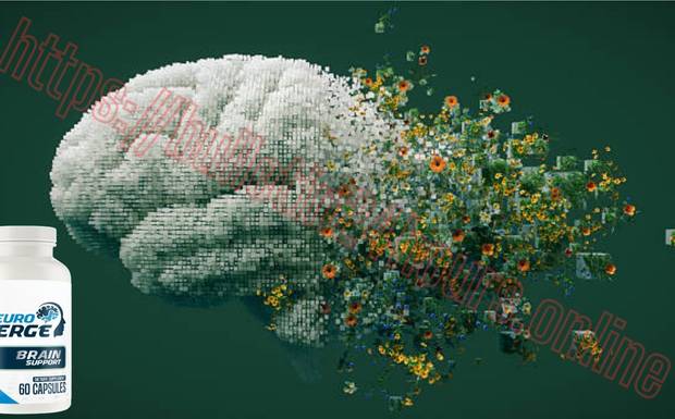 האם Neuro Serge IL ממכר?