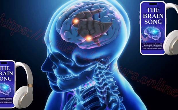 האם The Brain Song Israel IL חסום בארץ? (עדכון 2026)