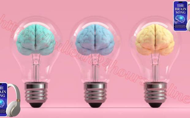 The Brain Song Israel: האלטרנטיבה הטבעית לריטלין?