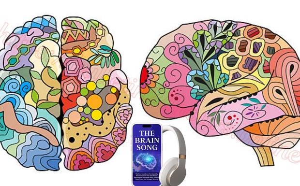 The Brain Song IL Israel: חיוני להצלחה בשנת 2026