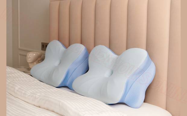Unbiased Derila Ergo Memory Foam Pillow Review