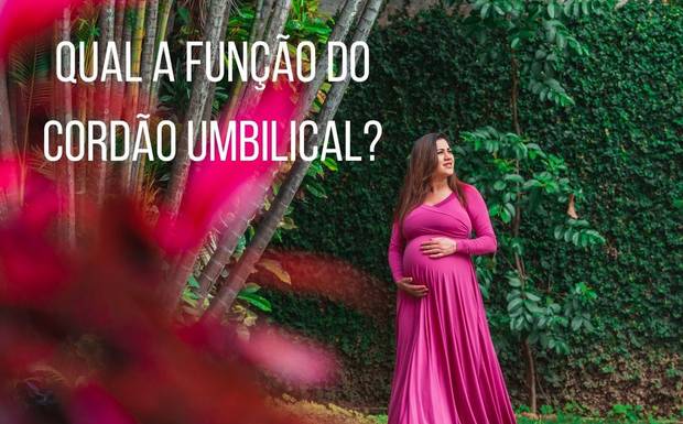 Qual a função do cordão umbilical?