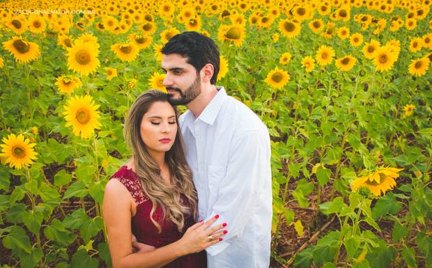 Melhores lugares para fotografar em Holambra