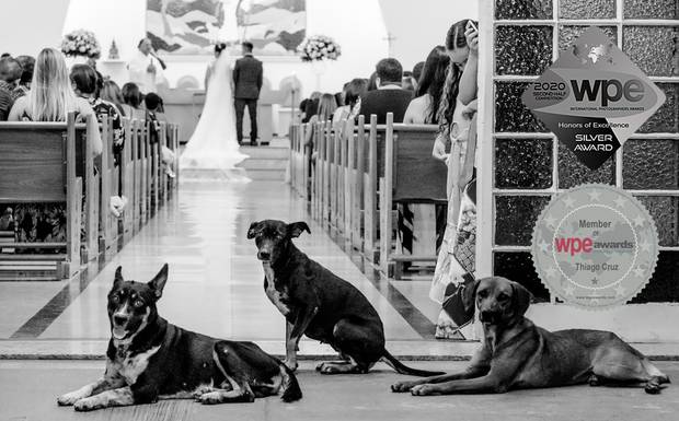Uma das fotos mais fofas que você verá hoje.