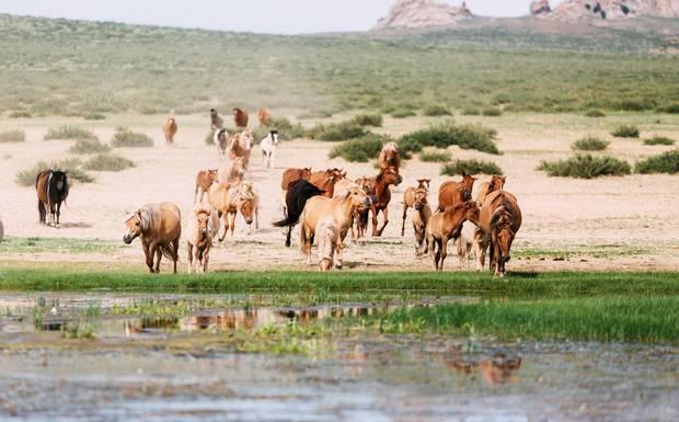 15 DICAS DE FOTOGRAFIA PARA INICIANTES