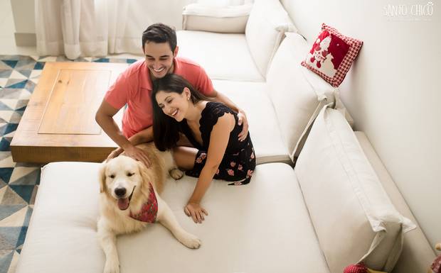 Fim da Quarentena e Pets - Já pensou como vai ser?
