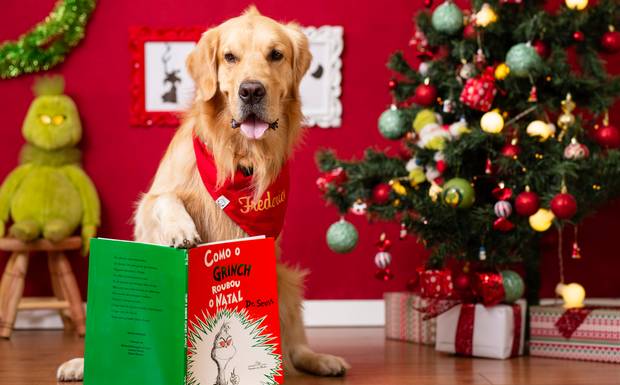 Este ensaio vai te relembrar o verdadeiro sentido do Natal!