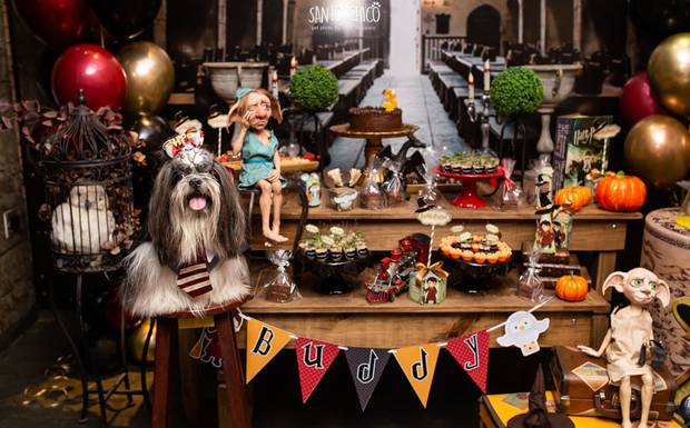 Festa Buddy Toledo - tema Harry Potter