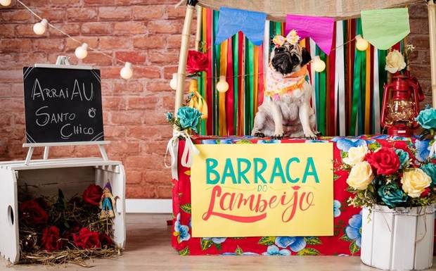 5 dicas para comemorar a Festa Junina com seu pet