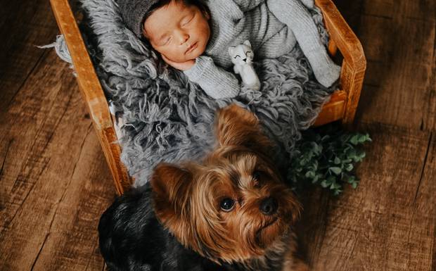 Fotógrafo de newborn. O que levar em consideração na hora de escolher um profissional?