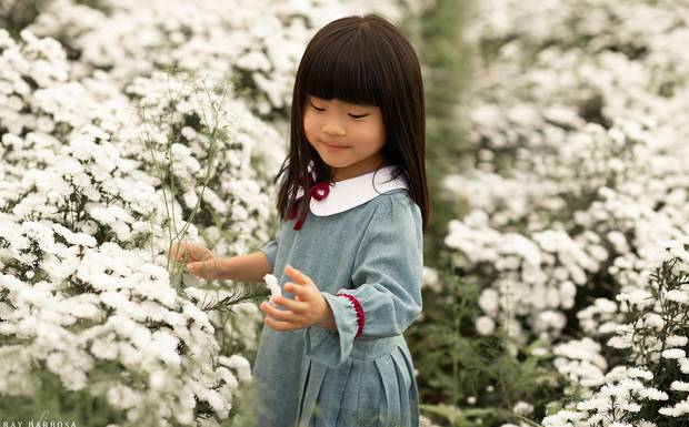 Holambra a cidade das flores e das fotos
