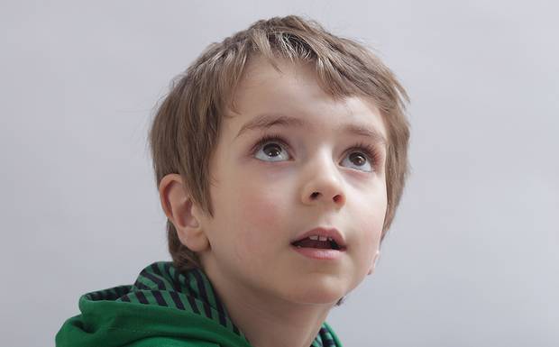 O Martim e os seus carrinhos preferidos