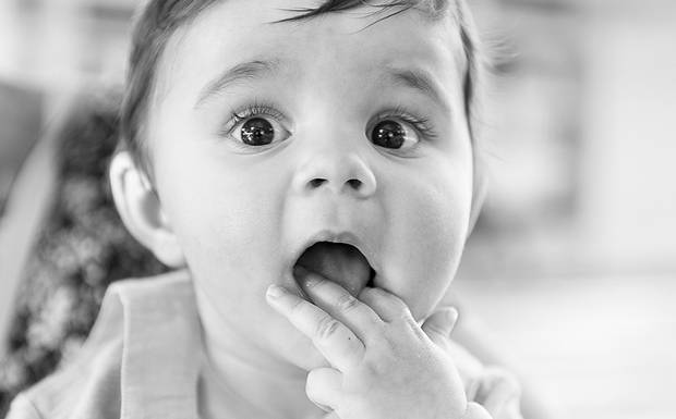 A Expressividade do Lourenço